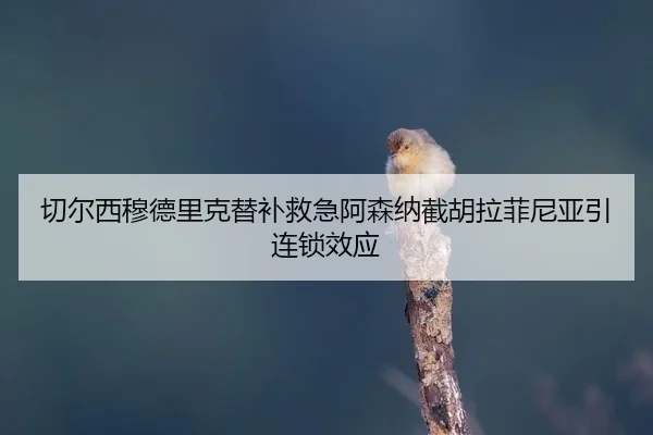 qie-er-xi-mu-de-li-ke-ti-bu-jiu-ji-a-sen-na-jie-hu-la-fei-ni-ya-yin-lian-suo-xiao-ying-1-863.jpg