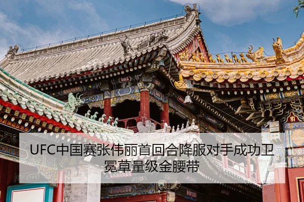 zhong-guo-sai-zhang-wei-li-shou-hui-he-xiang-fu-dui-shou-cheng-gong-wei-mian-cao-liang-ji-jin-yao-dai-1-425.jpg