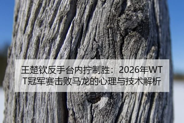 wang-chu-qin-fan-shou-tai-nei-ning-zhi-sheng-nian-guan-jun-sai-ji-bai-ma-long-de-xin-li-yu-ji-shu-jie-xi-3-640.jpg