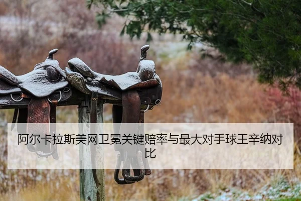 a-er-ka-la-si-mei-wang-wei-mian-guan-jian-pei-lv-yu-zui-da-dui-shou-qiu-wang-xin-na-dui-bi-2-891.jpg